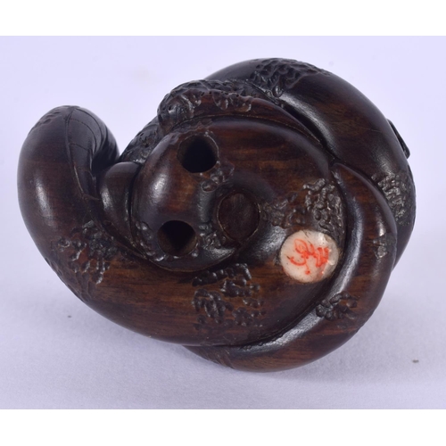 1531 - A JAPANESE CARVED BOXWOOD SNAKE AND TOAD NETSUKE. 3.5 cm x 3.5 cm.