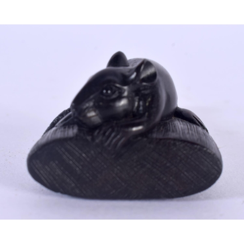 1534 - A JAPANESE CARVED BOXWOOD RAT AND BROOM NETSUKE. 6.5 cm x 3.25 cm.