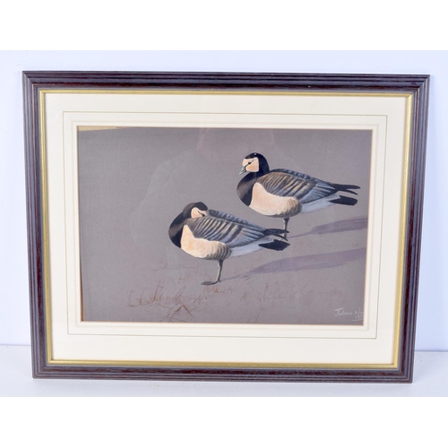 3104 - Julian Novorol (C1998) Pastel, Birds. 27 cm x 40 cm.