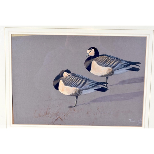 3104 - Julian Novorol (C1998) Pastel, Birds. 27 cm x 40 cm.