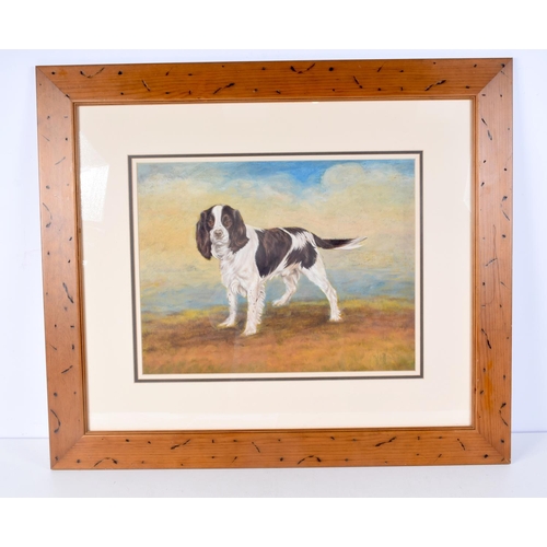 3113 - A FRAMED OIL ON BOARD C1930 depicting a spaniel. 33 cm x 44 cm.