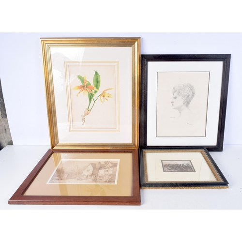 3135 - A FRAMED LITHOGRAPHIC BOTANICAL PRINT together with a framed etching, a watercolour and a sketch. La... 