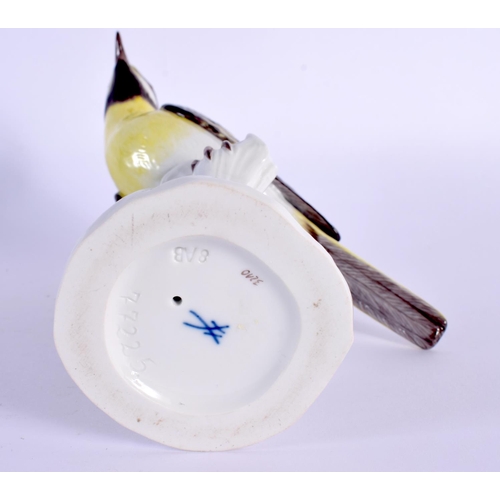 16 - A FINE MEISSEN PORCELAIN FIGURE OF A BIRD modelled upon a stump. 18 cm x 8 cm.