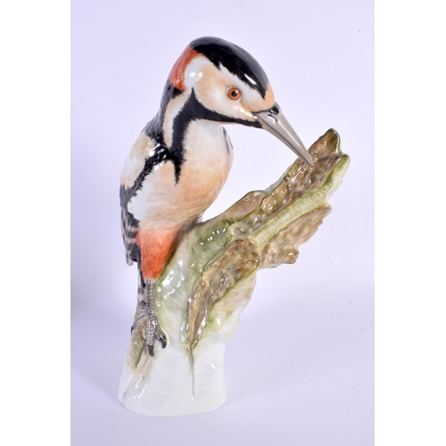 18 - AN UNUSUAL LARGE KPM BERLIN PORCELAIN FIGURE OF A BIRD modelled upon a stump. 25 cm x 16 cm.