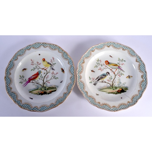 71 - A PAIR OF 19TH CENTURY MEISSEN ORNITHOLOGICAL PLATES painted with birds. 20 cm wide.