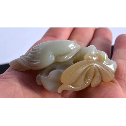 1513 - A SET OF FOUR 19TH/20TH CENTURY CHINESE CARVED JADE BIRDS together with two jade fish. Largest 7.75 ... 