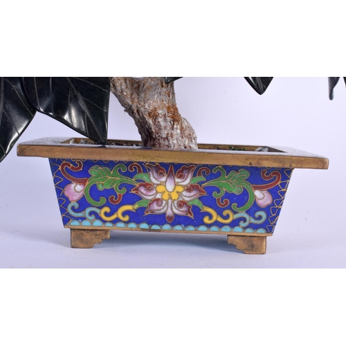 1624 - AN EARLY 20TH CENTURY CHINESE CLOISONNE ENAMEL HARDSTONE TREE Late Qing/Republic. 24 cm x 18 cm.