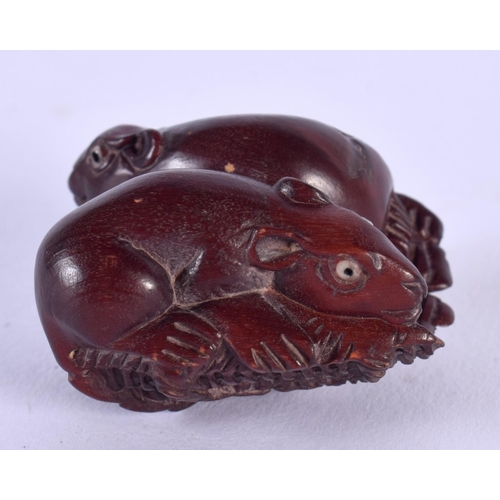 1714 - A JAPANESE BOXWOOD NETSUKE. 3.5 cm x 3 cm.