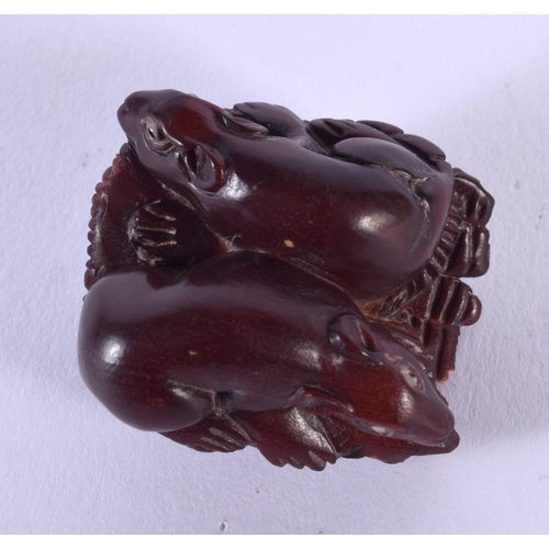 1714 - A JAPANESE BOXWOOD NETSUKE. 3.5 cm x 3 cm.