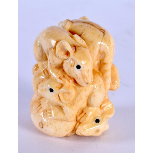 1826 - A JAPANESE CARVED BONE RAT NETSUKE. 41 grams. 4 cm x 3 cm.