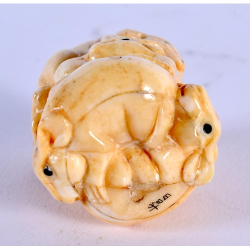 1826 - A JAPANESE CARVED BONE RAT NETSUKE. 41 grams. 4 cm x 3 cm.