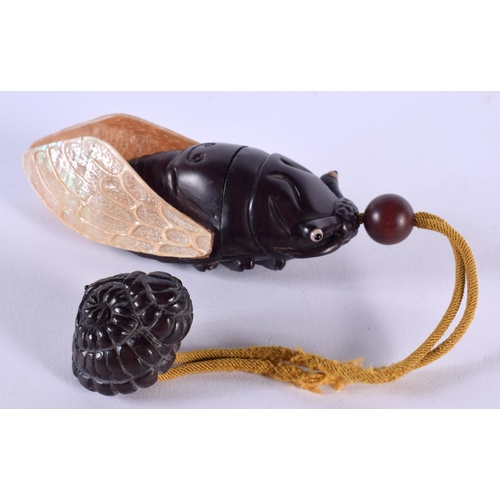 1831 - A JAPANESE CARVED BOXWOOD CICADA FLY INRO. 11.5 cm x 4.5 cm.