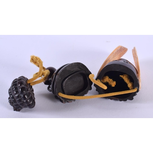 1831 - A JAPANESE CARVED BOXWOOD CICADA FLY INRO. 11.5 cm x 4.5 cm.