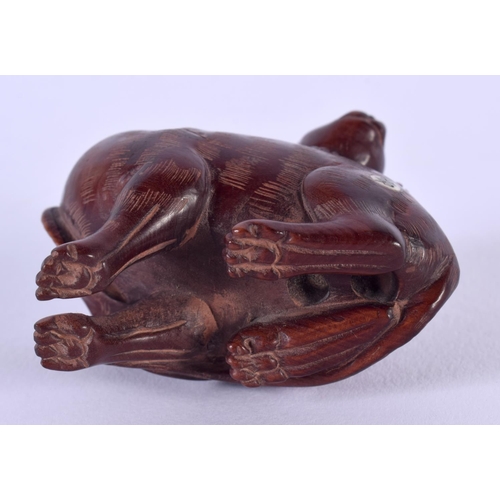 1845 - A JAPANESE CARVED BOXWOOD DOG. 26 grams. 5 cm x 4 cm.