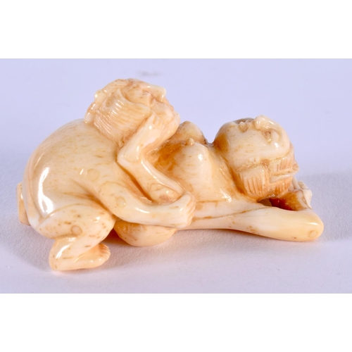 1848 - A JAPANESE CARVED BONE EROTIC NETSUKE. 29 grams. 5.5 cm x 3 cm.