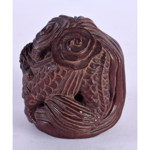 1863 - A JAPANESE CARVED BOXWOOD DRAGON NETSUKE. 50 grams. 5.25 cm x 4.75 cm.