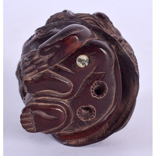 1863 - A JAPANESE CARVED BOXWOOD DRAGON NETSUKE. 50 grams. 5.25 cm x 4.75 cm.