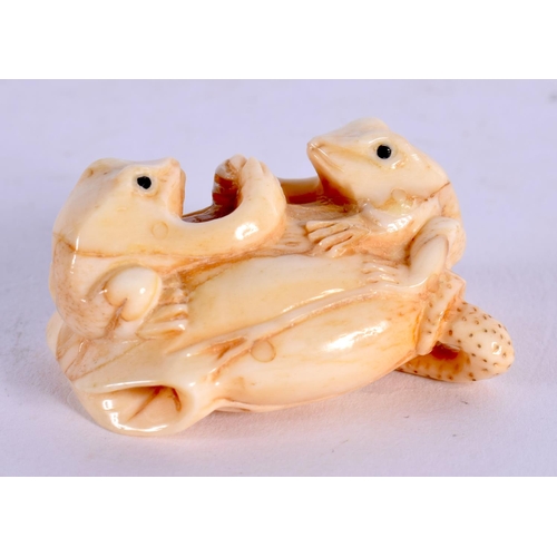 1866 - A JAPANESE CARVED BONE TOAD NETSUKE. 32 grams. 4.25 cm x 2.25 cm.