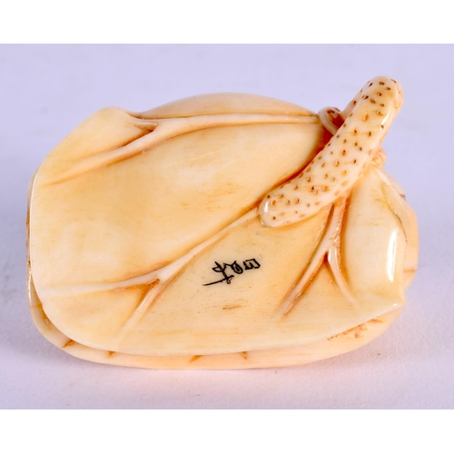 1866 - A JAPANESE CARVED BONE TOAD NETSUKE. 32 grams. 4.25 cm x 2.25 cm.