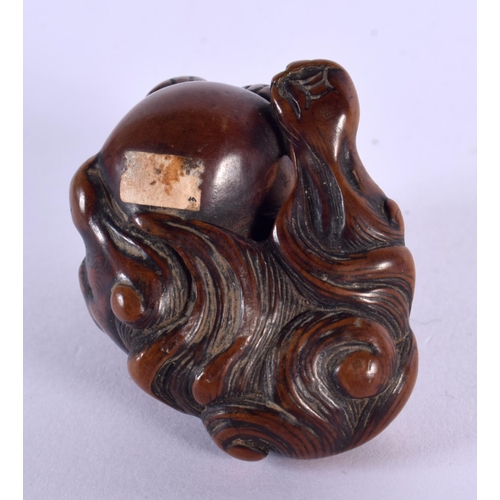 2017 - A RARE 19TH CENTURY JAPANESE MEIJI PERIOD CARVED RHINOCEROS HORN NETSUKE together with a C1800 boxwo... 