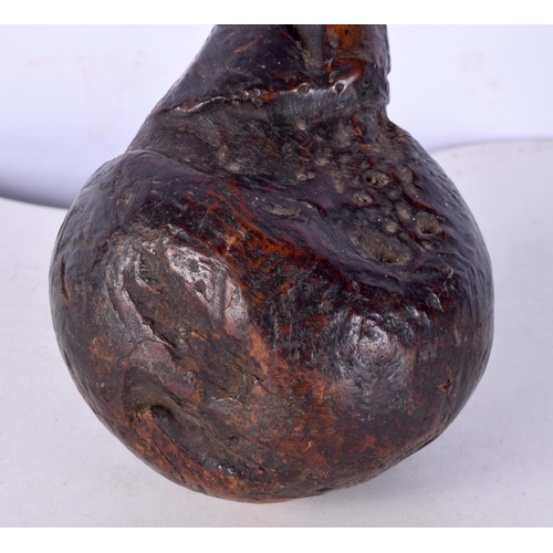 3068 - An early African wooden  Knobkerrie club 59 cm .