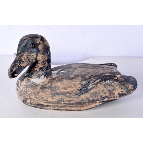 3077 - A collection of antique Wooden Duck decoys stamped to base  largest 21 cm (3).