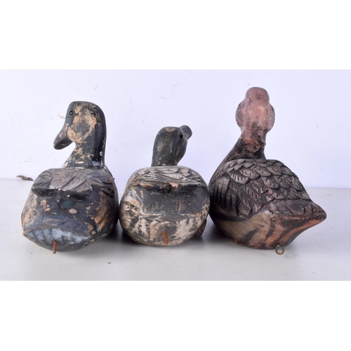 3077 - A collection of antique Wooden Duck decoys stamped to base  largest 21 cm (3).