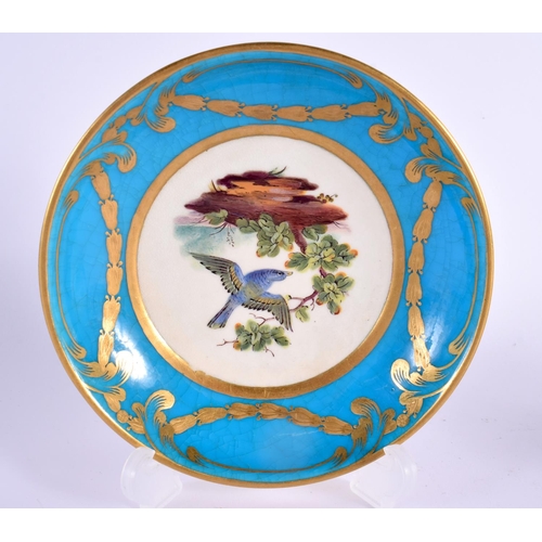 142 - Mid 19th century Minton cup and saucer painted with birds in landscape surrounded by a turquoise and... 