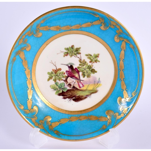 148 - Mid 19th century Minton cup and saucer painted with birds in landscape surrounded by a turquoise and... 