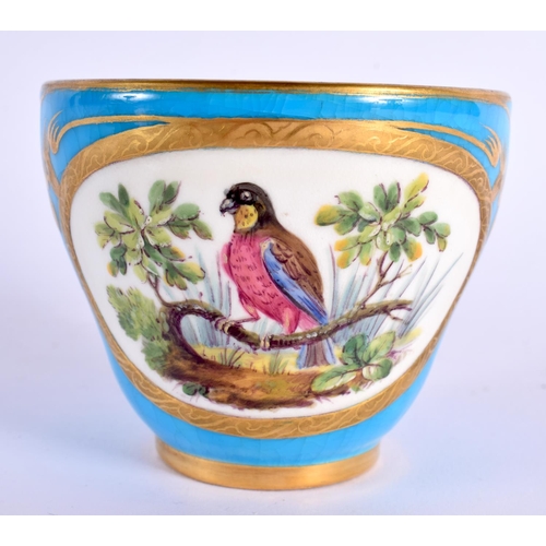 148 - Mid 19th century Minton cup and saucer painted with birds in landscape surrounded by a turquoise and... 