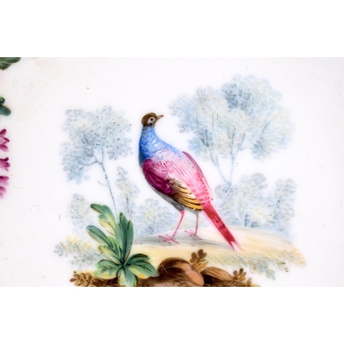 174 - Sevres saucer painted with a bird in landscape surrounded by roses on a blue celeste ground,  Crosse... 