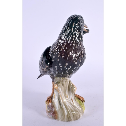 28 - A 19TH CENTURY MEISSEN PORCELAIN FIGURE OF A BIRD. 16 cm x 8 cm.