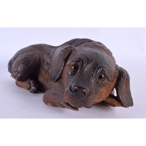 307 - A 19TH CENTURY BAVARIAN BLACK FOREST FIGURE OF A SLEEPING HOUND modelled recumbent 22 cm x 10 cm.