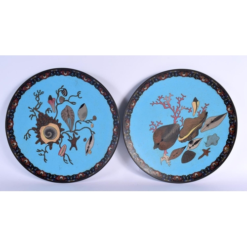 363 - A VERY RARE PAIR OF 19TH CENTURY JAPANESE MEIJI PERIOD CLOISONNE DISHES unusually decorated with she... 