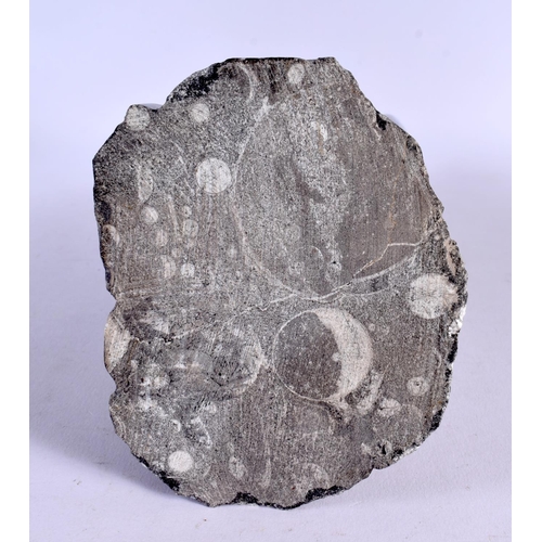 403 - A SMALLER STYLISH FOSSILISED STONE SCULPTURE. 34 cm high.