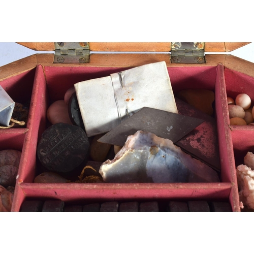 407 - AN INTERESTING VICTORIAN COUNTRY HOUSE SPECIMAN BOX containing shells, wax seals etc. 34 cm x 22 cm.