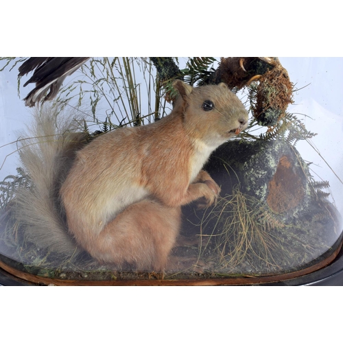 441 - A LARGE VICTORIAN TAXIDERMY BIRD AND SQUIRREL GROUP. 58 cm x 32 cm.