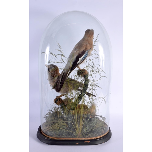 441 - A LARGE VICTORIAN TAXIDERMY BIRD AND SQUIRREL GROUP. 58 cm x 32 cm.