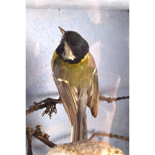 442 - A LARGE VICTORIAN TAXIDERMY OWL AND BIRD GROUP. 60 cm x 32 cm.