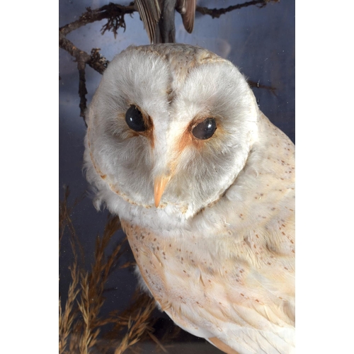 442 - A LARGE VICTORIAN TAXIDERMY OWL AND BIRD GROUP. 60 cm x 32 cm.