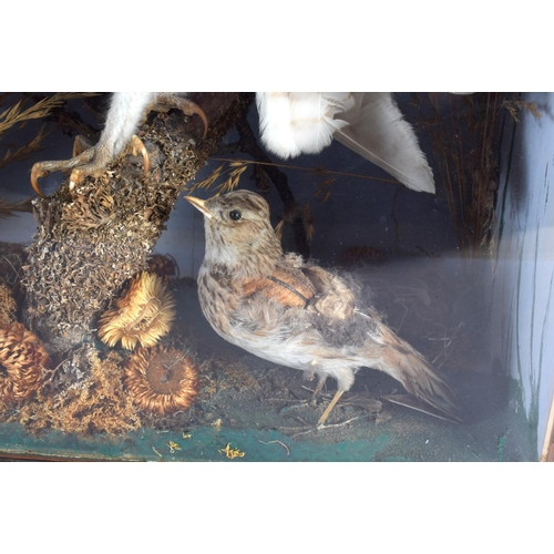 442 - A LARGE VICTORIAN TAXIDERMY OWL AND BIRD GROUP. 60 cm x 32 cm.