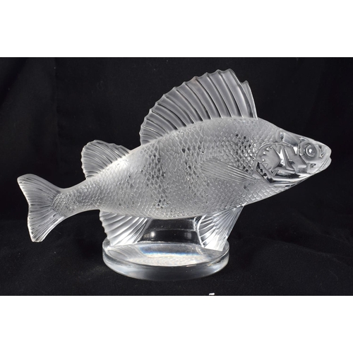 524 - A FRENCH LALIQUE GLASS FIGURE OF A PERCH. 15 cm wide.