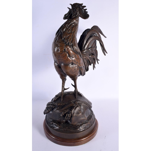 646 - Auguste Cain (1821-1894) Bronze, Cockerel 50 cm x 24 cm.