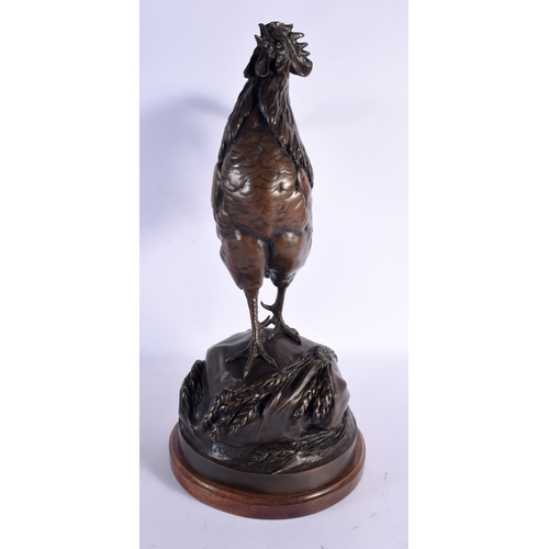 646 - Auguste Cain (1821-1894) Bronze, Cockerel 50 cm x 24 cm.