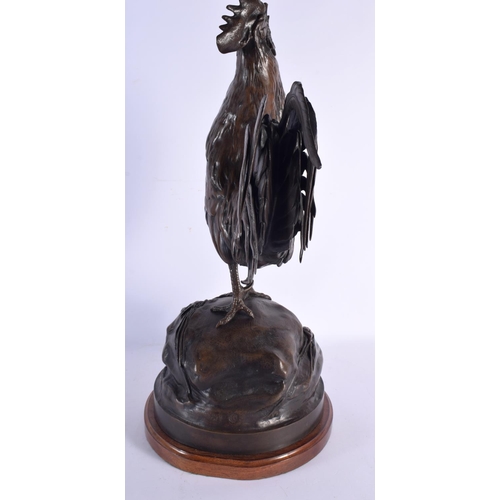 646 - Auguste Cain (1821-1894) Bronze, Cockerel 50 cm x 24 cm.