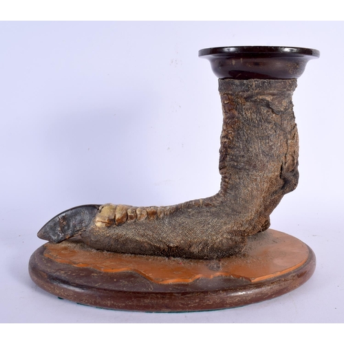 663 - A VICTORIAN TAXIDERMY OSTRICH FOOT STAND. 22 cm x 22 cm.