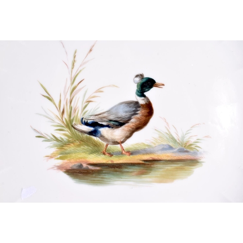 73 - A GERMAN MEISSEN PORCELAIN RETICULATED PLATE painted with a duck within a landscape. 24 cm wide.