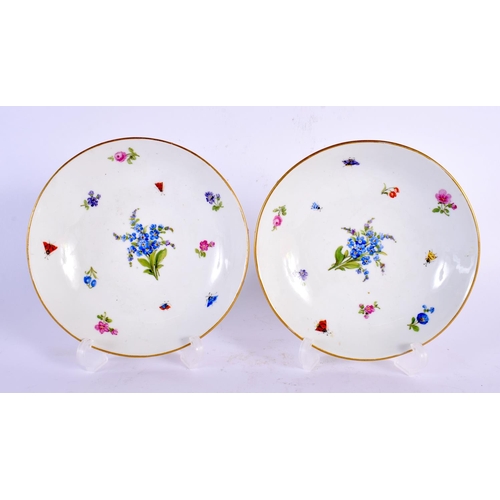 746 - A PAIR OF GERMAN MEISSEN PORCELAIN ENCRUSTED PORCELAIN CUPS AND SAUCERS painted with insects and fol... 