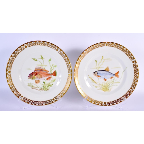 795 - EIGHT DANISH COPENHAGEN PORCELAIN PLATES painted with fish. 22 cm diameter. (8)