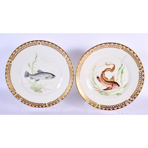 795 - EIGHT DANISH COPENHAGEN PORCELAIN PLATES painted with fish. 22 cm diameter. (8)